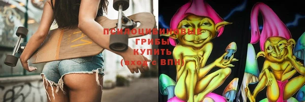 индика Нязепетровск