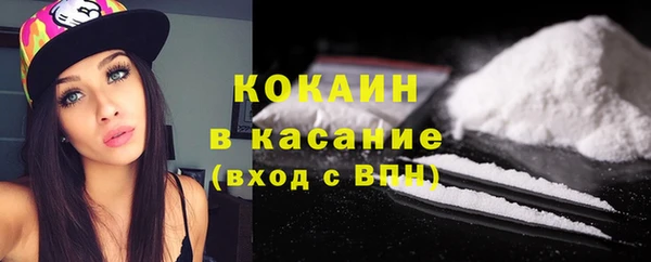 индика Нязепетровск