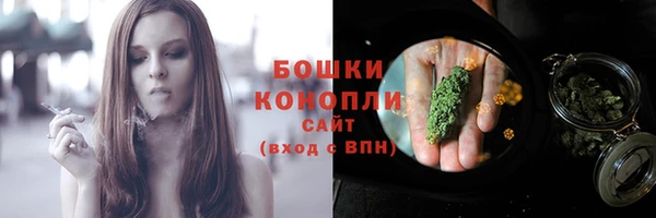 индика Нязепетровск