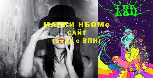индика Нязепетровск