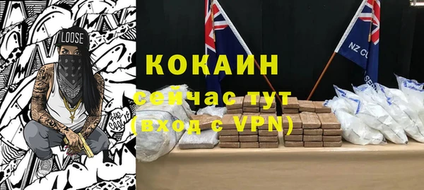индика Нязепетровск