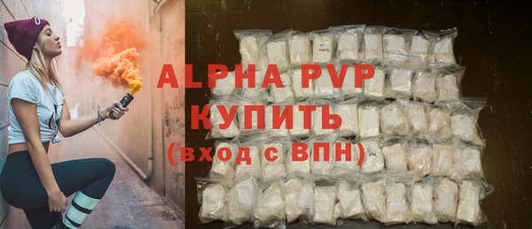 индика Нязепетровск