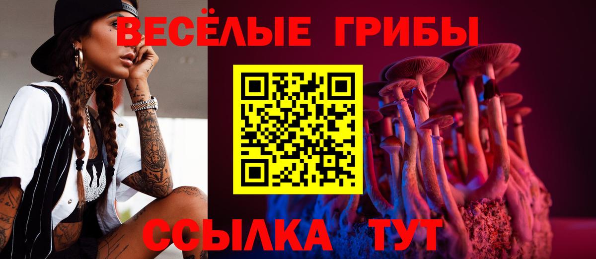 Улан-Удэ  Псилоцибиновые грибы GOLDEN TEACHER  Вход с VPN  Галлюциногенные грибы GOLDEN TEACHER 