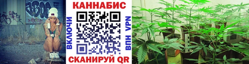 Каннабис Ganja Улан-Удэ